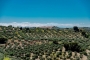Vistas del macizo de Sierra Nevada